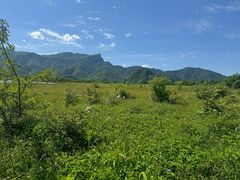 -大九湖