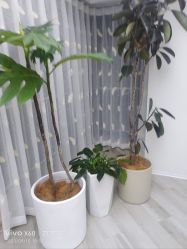 -HEYAN荷妍专业脱毛连锁机构