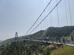 -中华福寿山