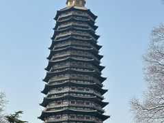 -红梅公园
