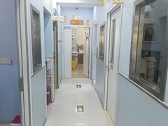 -纳吉亚猫专科动物诊疗中心(蒋宅口分院)