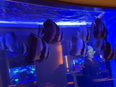 -上和臻品中国菜(花园街店)