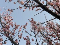 -蜀冈西峰生态公园