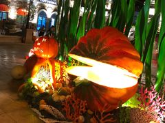 -芽庄珍珠岛游乐园