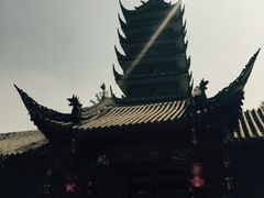 iphone_upload_pic-生宇山珍野生菌汤锅•始于1999(双流古塔店)