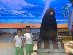 -三亚海昌梦幻海洋不夜城