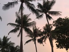 -东海岸人工湖美食村