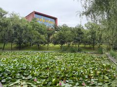 -红旗渠纪念馆