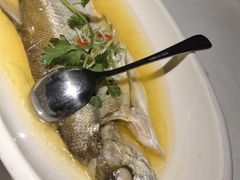 -羲和雅苑•北京烤鸭(陆家嘴中心店)