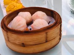 -西苑半岛·中餐厅