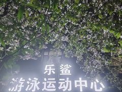 -南山文体中心-游泳馆