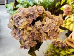 -花二家·生活馆(六运小区店)