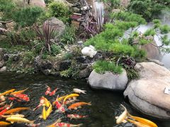 -罗红摄影艺术馆