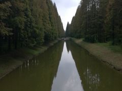 -黄海国家森林公园