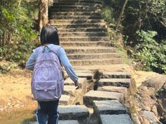 -广州白江湖森林公园