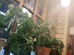 -Cafe Alice咖啡爱丽丝(奥城店)
