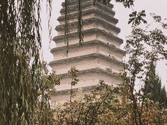 -西安大兴善寺