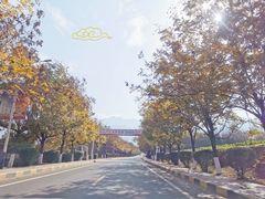 -石砭峪水库