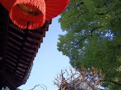 -豫园