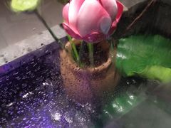 -刘全福吊炉烧烤王(东江路店)