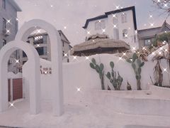 -龙坞茶村