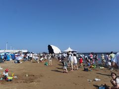 -碧海金沙
