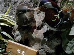 -陕西自然博物馆