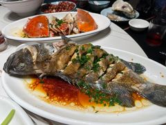 -金海湾海鲜排档(朱家尖店)