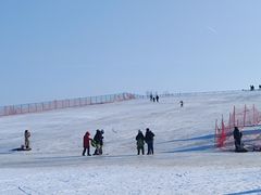 -绿野森林乐园冰雪季
