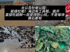 -巧克力渔家.小船海鲜胶东菜(万平口店)