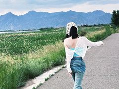 -哈素海