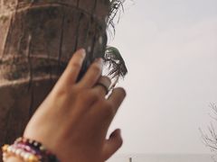 -白沙门生态公园