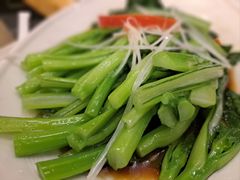 -陈麻婆豆腐(旗舰店)