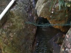 -牛鱼嘴原始生态风景区