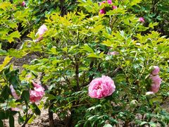 -大钟寺古钟博物馆