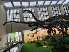 -广西壮族自治区博物馆