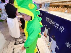 -西安银基冰雪世界