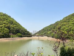 -桃花岭景区