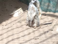 -昆明动物园