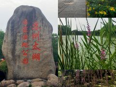 -苏州太湖国家湿地公园