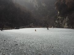 -少华山国家森林公园