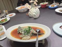 -骏莱海鲜鱼港(五角场店)