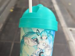 -椿记烧鹅(叠彩店)