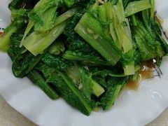 -横琴客运码头