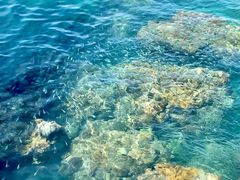 -三亚西岛海洋文化旅游区