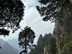 -黄山风景区