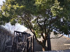 -盒马鲜生(杭州运河上街店)