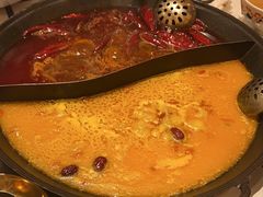 -朱光玉火锅馆(正弘城店)