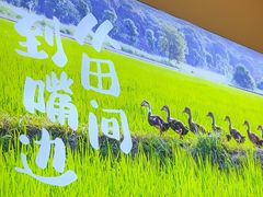 -杨厨的田园饭店(长城路店)