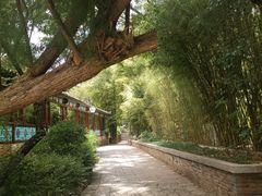 -黑龙潭公园